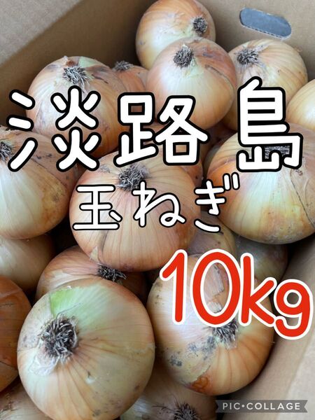 淡路島 玉ねぎ 秀品 10キロ 送料込み!農家直送!