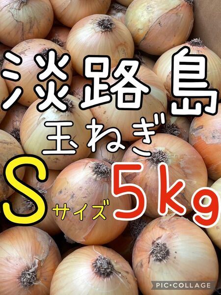 淡路島 玉ねぎ S 5キロ 秀品 送料込み!農家直送!