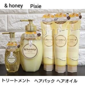 アンドハニー モイストシルキー セット