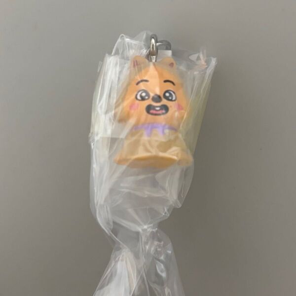【新品】skzoo めじるしアクセサリー クォッカ パピーム