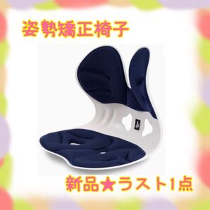 ★新品★大特価★ラスト1点 姿勢矯正椅子 バランスチェア 耐荷重150kg 骨盤サポート