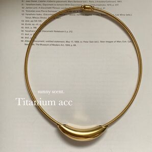 チタンチョーカー シンプル 韓国 おしゃれ アダムエロペ ビームス todayful ameri toga お好きに メンズアクセ