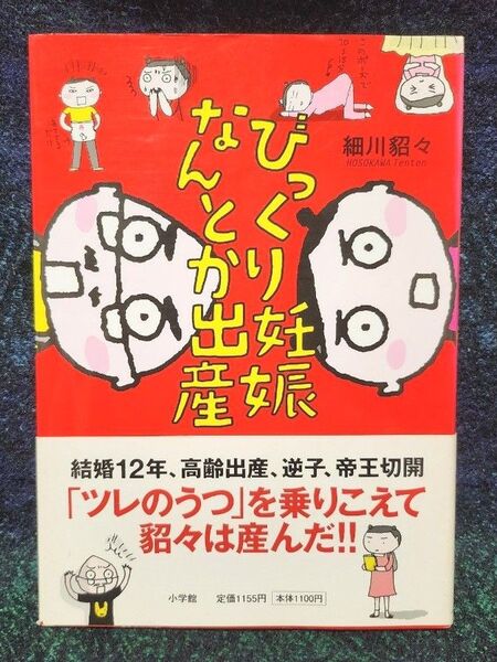 びっくり妊娠なんとか出産 細川貂々/著【初版】