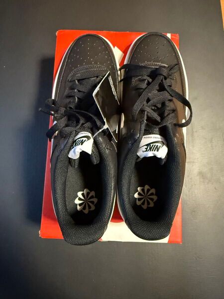 新品 NIKE CORUT VISION LO NN コートビジョン ロー