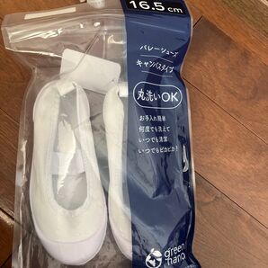 バレーシューズ キャンバスタイプ 16.5cm 上履き ホワイト