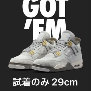 室内試着のみ エア ジョーダン 4 SE クラフト 29 cm フォトン ダスト ナイキ AIR ジョーダン4 AJ4