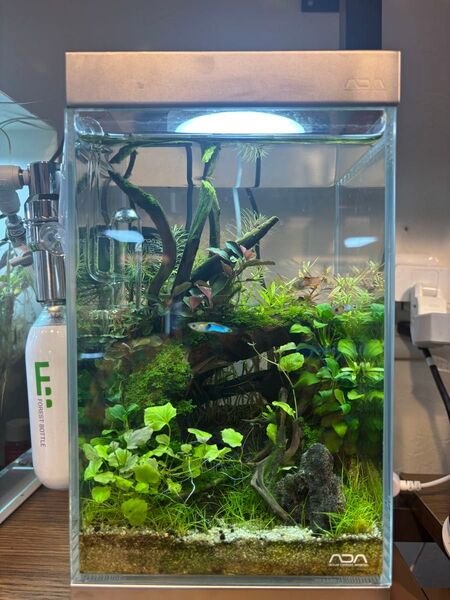 ADA mini NA用ガラス水槽 15x15x22 ※水槽のみ