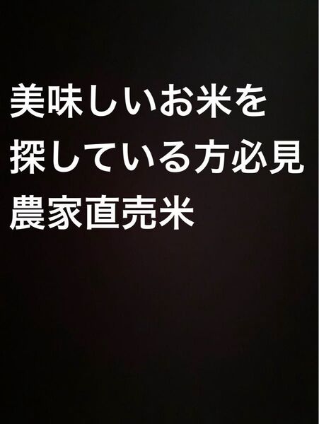 令和6年産コシヒカリ 白米5kg 食味値87点以上 超Aランク米 全国送料無料 最終出品