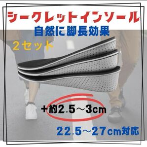 2セット シークレット インソール 3センチ 中敷 男女兼用 かかと スニーカー ブーツ メンズ レディース バイク