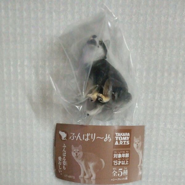 【内袋未開封】黒柴犬 ふんばり〜ぬ より1種 ガチャ ふんばりーぬ