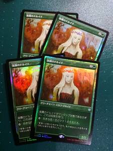 ★☆MTG　《イベント配布》【FOIL】【日】楽園のドルイド/Paradise Druid [緑U]【FNM】★☆在庫枚数4枚 全ての商品同梱可能