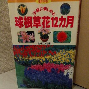 球根草花12カ月 主婦の友社