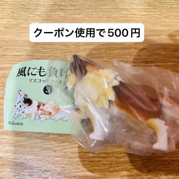 風にも負けず。 シェットランド・シープドッグ シェルティ フィギュア ガチャガチャ