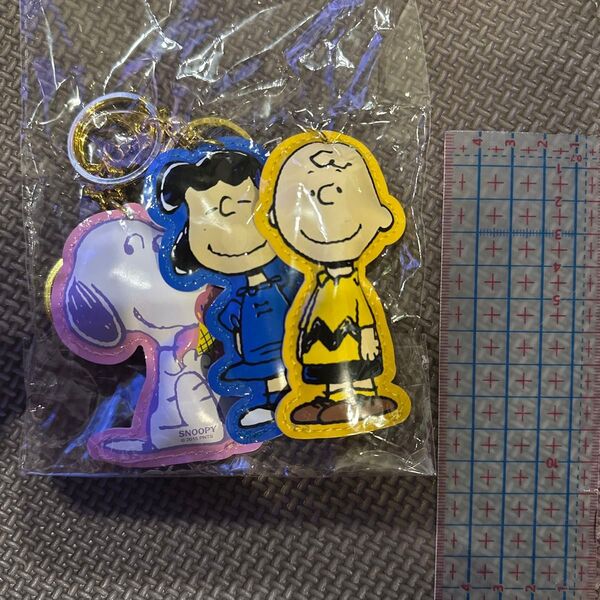 チャーリブラウン サリー スヌーピー SNOOPY キーホルダー キーリング セット