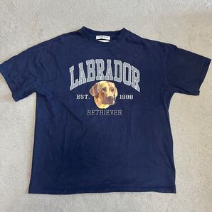 LABRADOR RETRIEVER Tシャツ ネイビー ラブラドールレトリバー