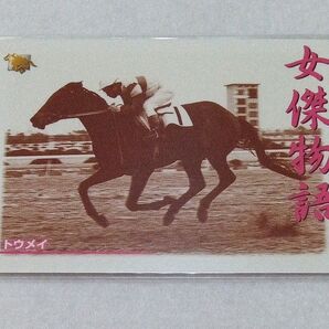 トウメイ サラブレッドカード 競馬 キャラクターカード トレーディングカード ウマ娘 うま娘