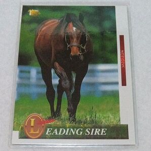 オペラハウス サラブレッドカード 競馬 キャラクターカード トレーディングカード ウマ娘 うま娘
