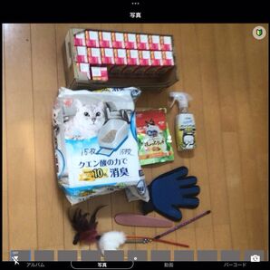 野良猫赤ちゃん飼い主用セット。送料無料。