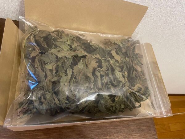 国産無農薬たんぽぽ葉 箱いっぱい
