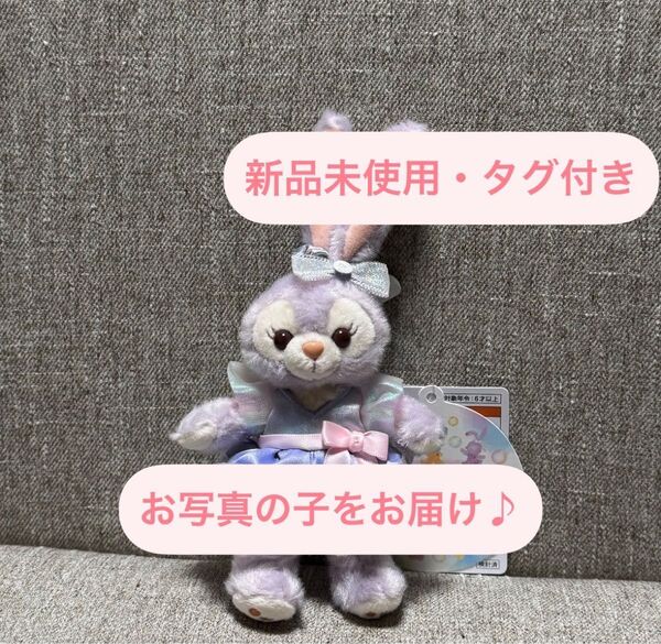 ④東京ディズニーシー♪ カラフルハピネス ステラルー ぬいぐるみバッジ