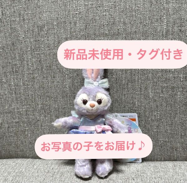 ③東京ディズニーシー♪ カラフルハピネス ステラルー ぬいぐるみバッジ