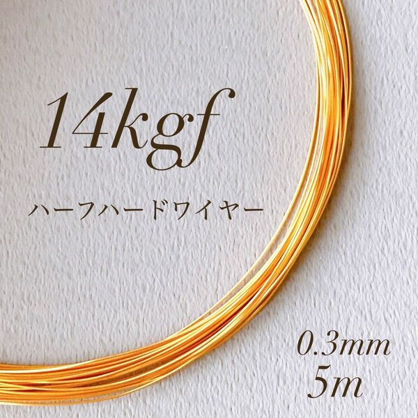 高品質 14kgf 0.3mm ハーフハードワイヤー 5m 金具 パーツ ワイヤー