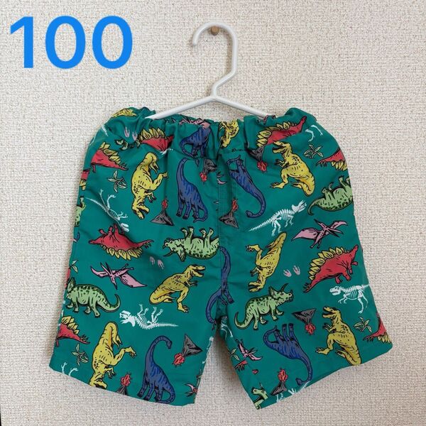 男の子 水着 サーフパンツ 100サイズ 恐竜