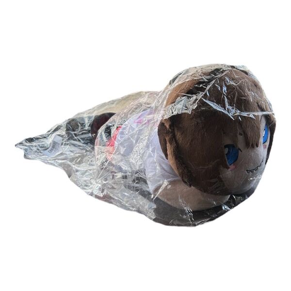 【新品未開封】ゴールデンボンバー 鬼龍院翔 ぬいぐるみ グッズ
