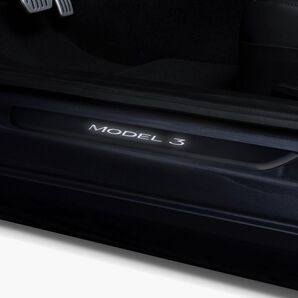 TESLA 正規品 イルミネーションドア