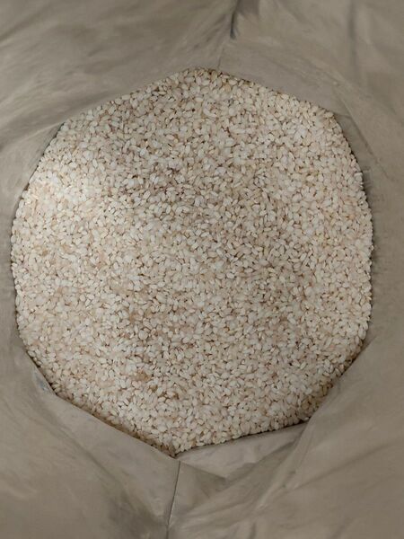 飼料用 古いお米(令和3年) 5kg 白米 無農薬