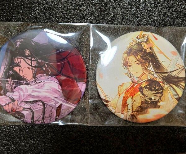 天官賜福 ステラワース特典 缶バッジ 2巻 4巻