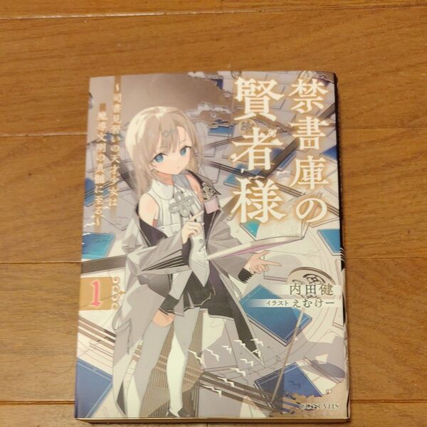 禁書庫の賢者様 司書見習いの天才少女は魔導文明の真髄に至る 1 (GC NOVELS) 内田健/著