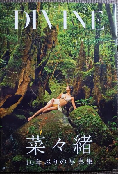 菜々緒 写真集 DIVINE