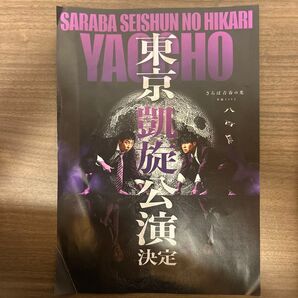 さらば青春の光 八百長 フライヤー
