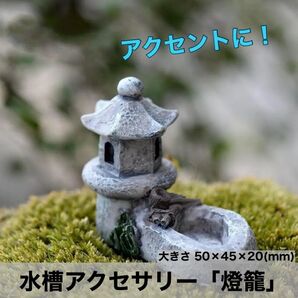 【アクセントに!】 水槽用アクセサリー 「燈籠」4