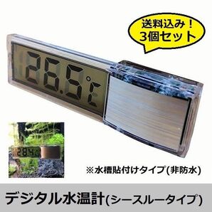 お徳用!3個セット【シースルータイプ】デジタル水温計 3