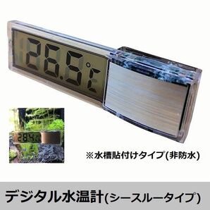 【シースルータイプ】デジタル水温計 6