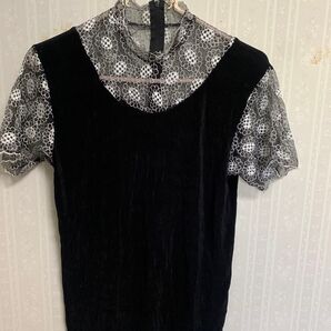 半袖×レース トップス フリーサイズ