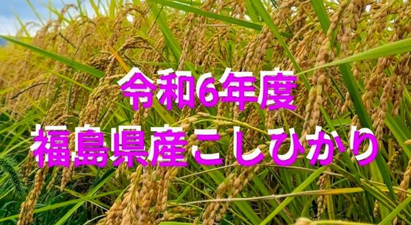 福島県産 コシヒカリ 箱込約1.9kg強 1等米 農家直送です