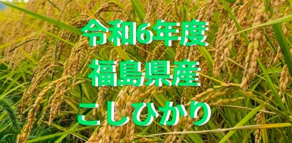 福島県産 コシヒカリ 箱込約1.9kg強 1等米 農家直送です