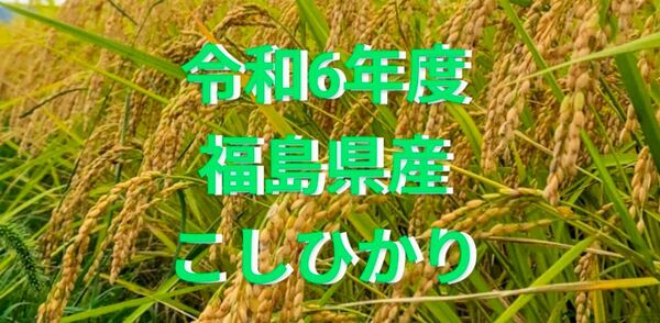 福島県産 コシヒカリ 箱込約1.9kg強 1等米 農家直送です