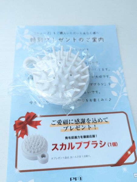 ニューzスカルプブラシ 割引ハガキ