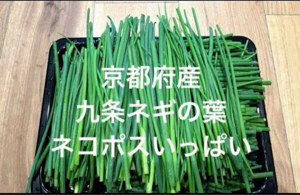 【京都府産 無農薬】九条ネギの葉っぱだけ!お得な訳ありネコポスいっぱい