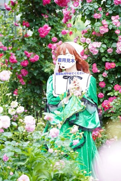 ローゼンメイデン 翠星石 コスプレ衣装 セット売り レディースMサイズ ベロア素材 薔薇