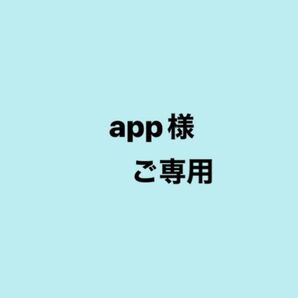 app様 ご専用です。