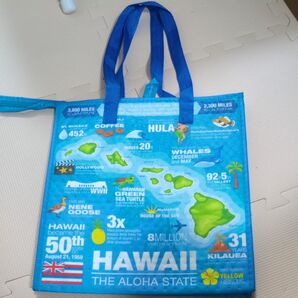 ハワイ購入 HAWAII ハワイ 保冷クーラートートバッグ エコバック
