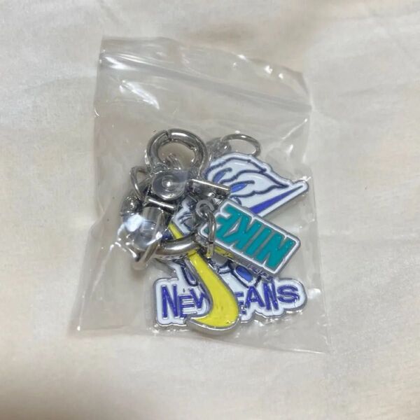 NewJeans バニキャン プレミアムキット キーホルダー キーリング bunnies camp 東京ドーム ニュジ NJZ