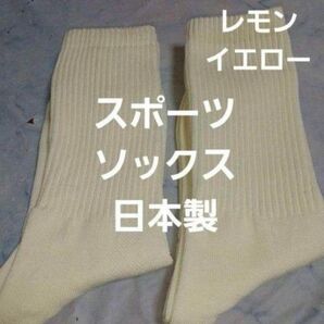 2足組♪ 綿混☆ ソックス(23~25)