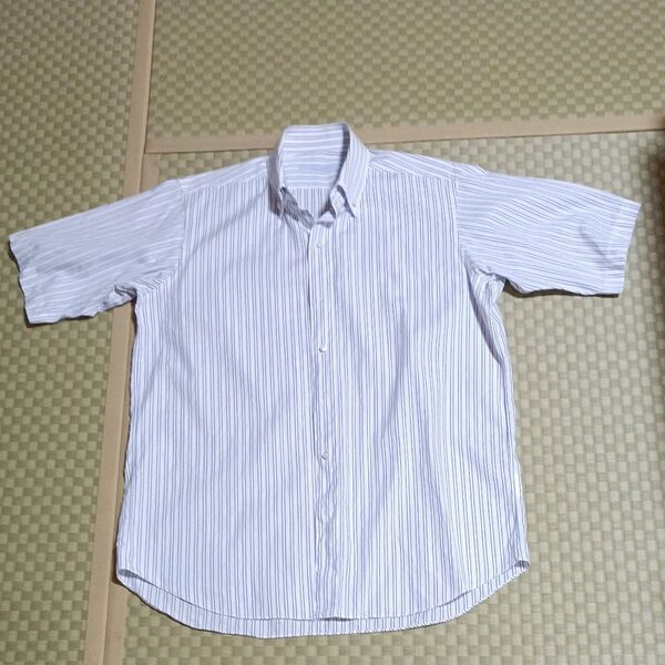 canclini 1925 super fin cotton made in Italy ボタンダウンシャツ ストライプ 半袖