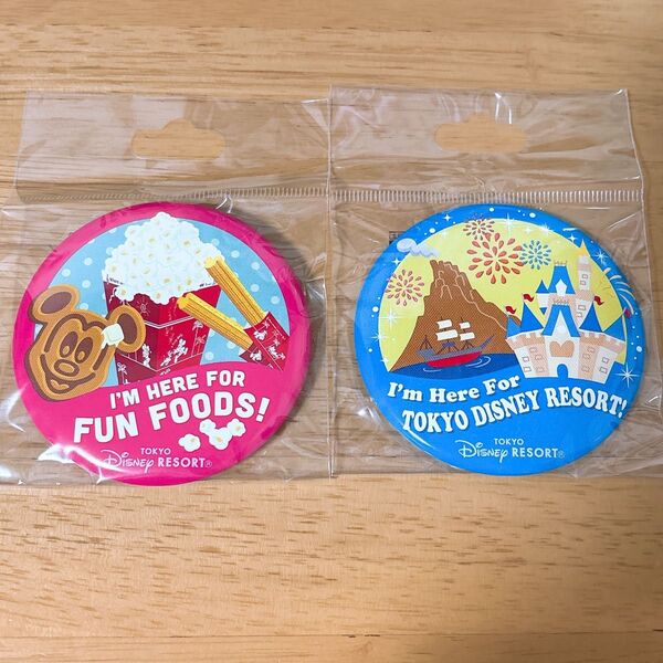 東京ディズニーリゾート 缶バッジ 2点セット